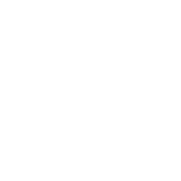 icono de un hombre subiendo una gráfica ascendente con una estrella en la cima